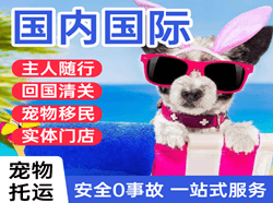 鄂尔多斯机场物流国际宠物托运 【国